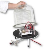 Bomba buit pales rotatives P-1003317. Cabal 100l/min (PF 0'3Pa)