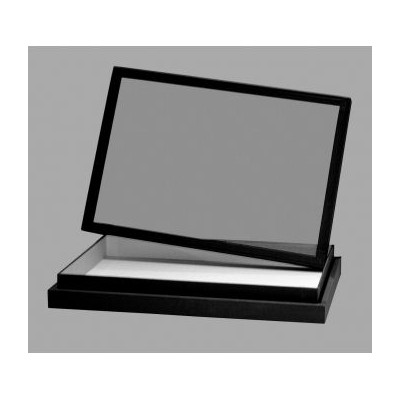 Caja minerales cartón baja 16 piezas. Compartimentos 95x70x50 mm