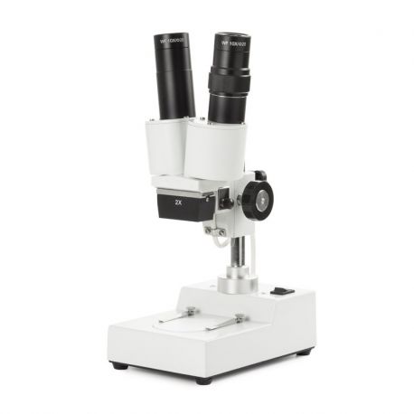 Estereomicroscopio binocular Novex AP-2. Columna 20x