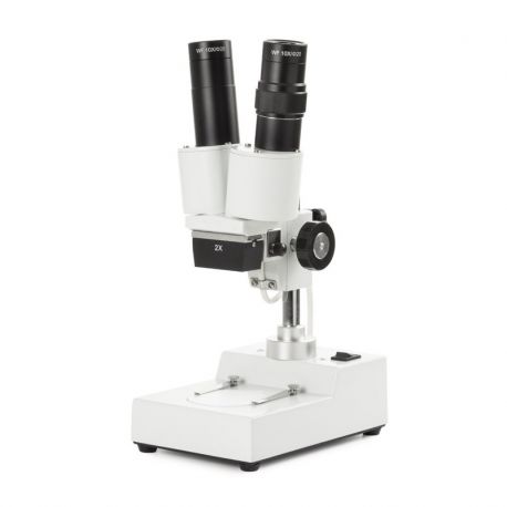 Novex AP-2 binocular stereomicroscope. Column 20x