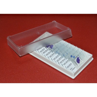 Preparacions microscòpiques Lieder biologia A. Capsa 25 peces