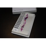 Preparaciones microscópicas MIC. BiologÍa general I (25p)