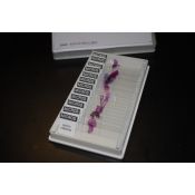 Preparacions microscòpiques Lieder biologia A. Capsa 25 peces