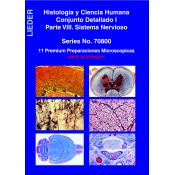 Preparacions microscòpiques L-4470 (7p). ÒRgans-Funcionals hormonals