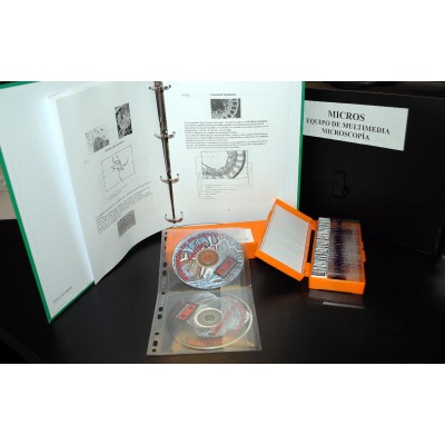 Conjunto microscopia MIC-CAT. Preparaciones con imágenes y texto (100)