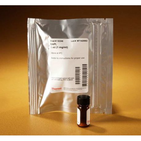 DAPI TS-62248 fluorescent stain solution. 1 ml bottle