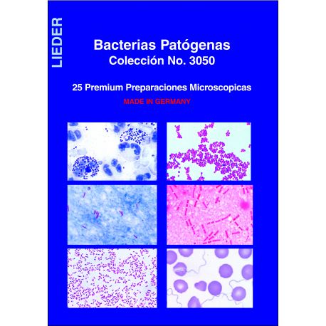 Preparaciones microscópicas L-3050. Bacterias patógenas (25p)