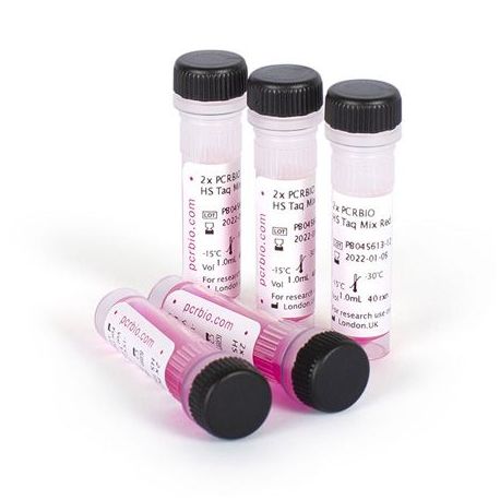 DNA-polimerasa Hot Start solució BT-1101. Flascó 1'25 ml