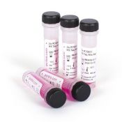 DNA-polimerasa Hot Start solució BT-1101. Flascó 1'25 ml