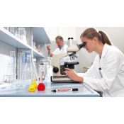 Marcador retolador laboratori Edding 8015F. Punta cònica 0'75 mm