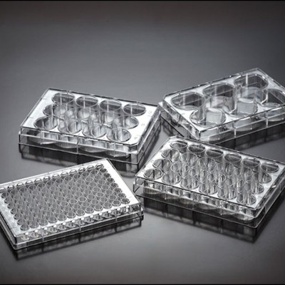 Placas cultivo celular 6 pocillos D200001. Caja 100 unidades