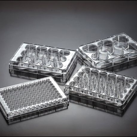 Plaques cultiu cel·lular 6 pouets D-D200001. Capsa 100 unitats