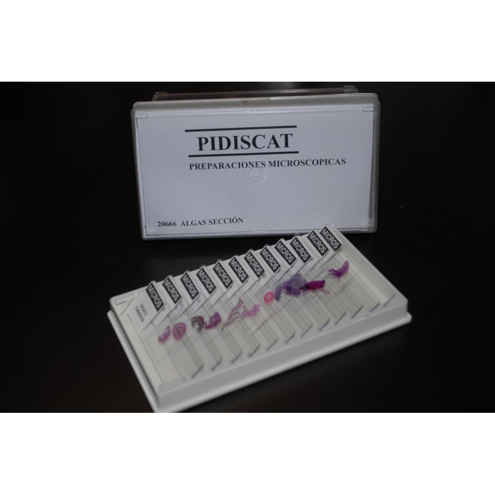 Preparacions microscòpiques Lieder biologia A. Capsa 25 peces