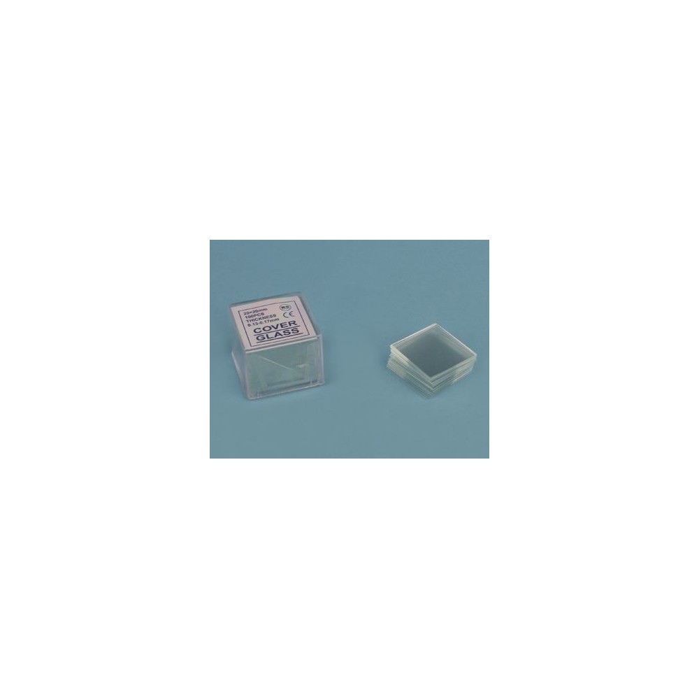 Cobreobjectes quadrats 20x20 mm. Capsa 1.000 peces