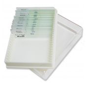 Preparacions microscòpiques Zuzi organografia animal. Capsa 25 ps