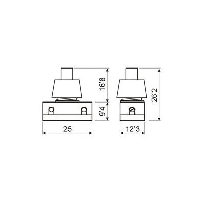 Interruptors unipolars 250V 2A DH-11-172. Capsa 10 unitats