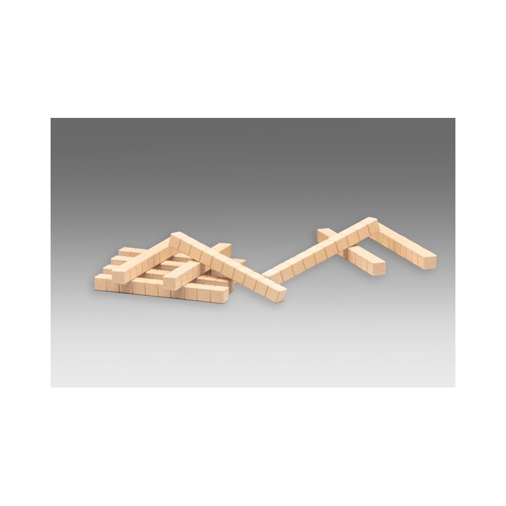 Bloque multibase madera décima. Medidas 100x10x10 mm