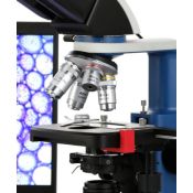 Microscopi Levenhuk 2L-PLUS amb kit experiments. Monocular 64-640x