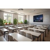 Monitor interactiu Traulux TX-75P. Àrea 75 polzades (1650x928 mm)