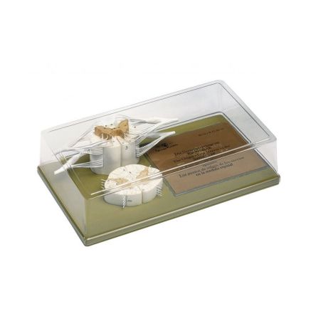 Somso BS-32/37 anatomical model. Spinal cord 5:1 and 10:1 in 2 parts