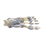 Anatomical model QBB-005. Human heart 3: 1 in 3 pieces