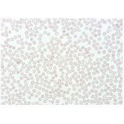 Preparación microscópica Jeulin LN-575406. Sangre humana