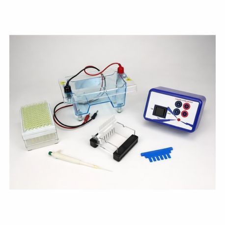Equipo base prácticas electroforesi V-44521. Cubeta y fuente