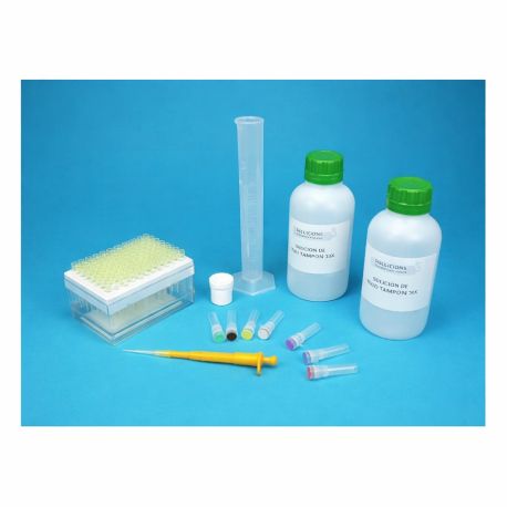 Paternity test kit V-44547