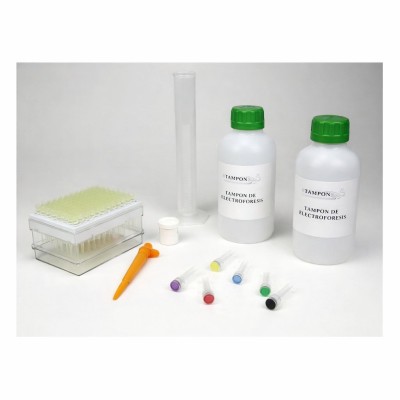 PCR simulation kit V-44545