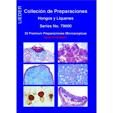 Preparacions microscòpiques L-79000. Fongs i líquens (20p)