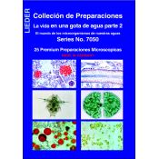 Preparaciones microscópicas L-7050. La vida en el agua II (25p)