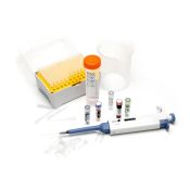 Reactivos y consumibles Bento BL-KIT-BS. Conjunto sexaje pájaros