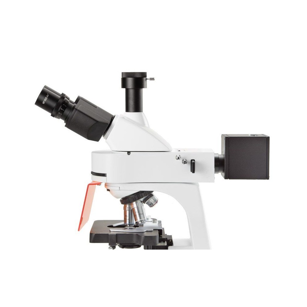 Microscopi Bscope BS-3153-PLi. Trinocular fluorescència 40x-1000x
