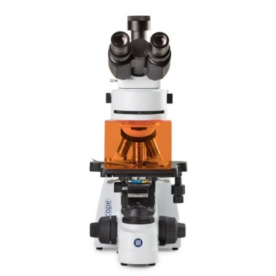 Microscopi Bscope BS-3153-PLi. Trinocular fluorescència 40x-1000x