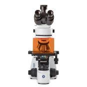 Microscopi Bscope BS-3153-PLi. Trinocular fluorescència 40x-1000x