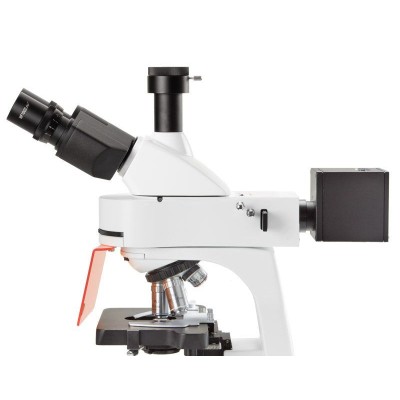 Microscopi Bscope BS-3153-PLFi. Trinocular fluorescència-FLU 40x-1000x
