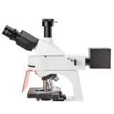 Microscopi Bscope BS-3153-PLFi. Trinocular fluorescència-FLU 40x-1000x