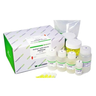 Kit PCR PR-08007 Bactoplex. Capsa 48 proves