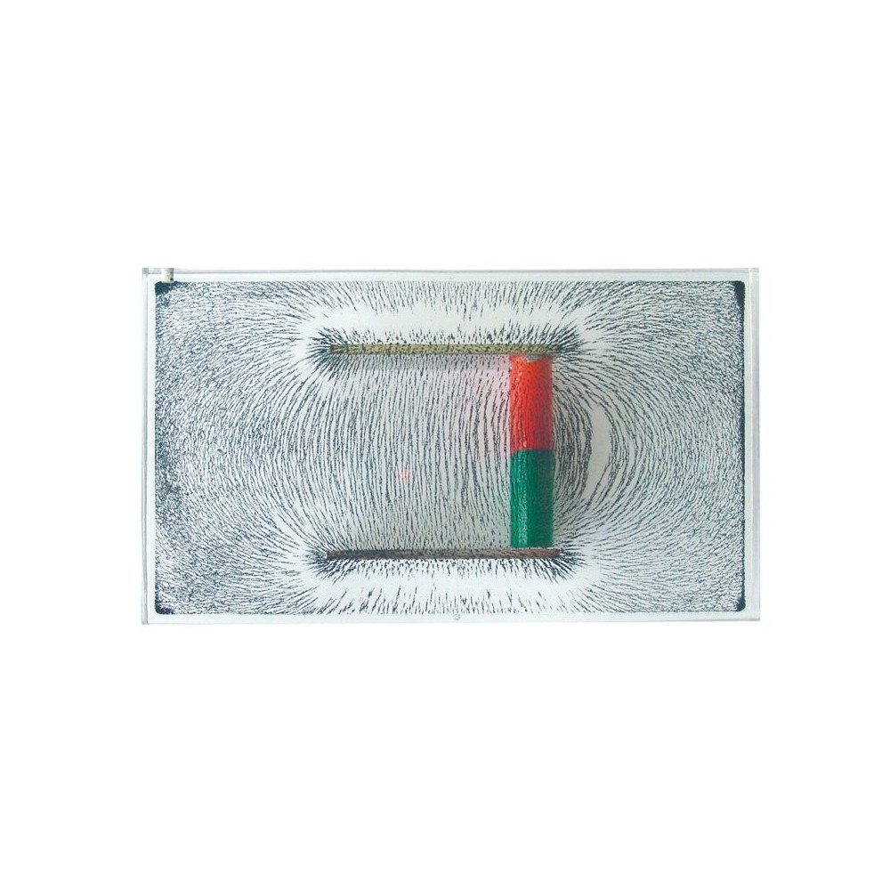 NTL P9902-4L physical equipment. Optics 1, 31 experiments