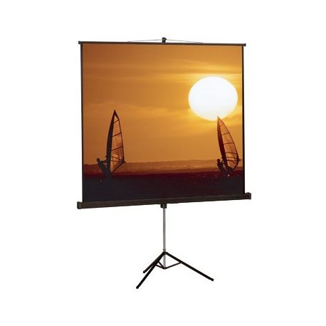 Tilting tripod projection screen. White 2000x2000 mm