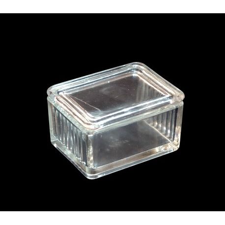 Schieferdecker staining tray. Horizontal 10 slots