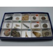 Fòssils naturals 40x40 mm. Capsa 15 peces