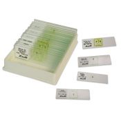 Preparacions microscòpiques Zuzi zoologia. Capsa 40 peces