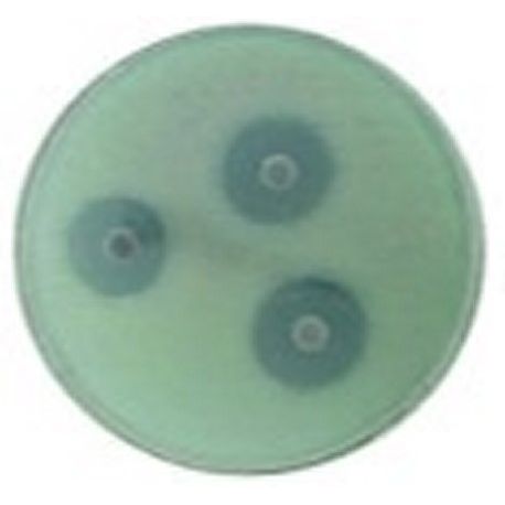Identificació microbiana coagulasa PLA-CO. Capsa 20 proves