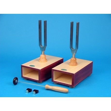Tuning forks with V-11860 soundboard. Frequencies 440 and 440 Hz with tuner