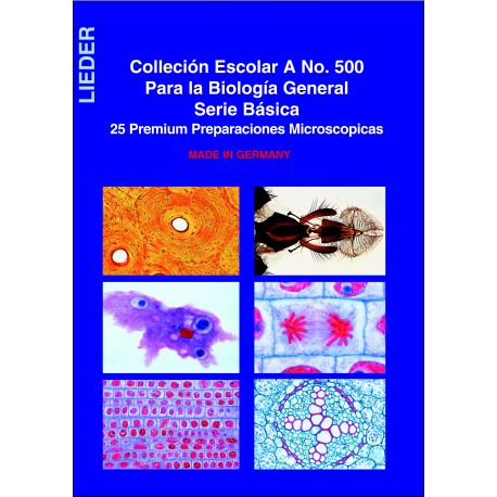 Microscopic preparations L-500-25. General Biology A