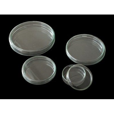 Càpsules Petri vidre amb tapa 15x60 mm. Capsa 18 unitats