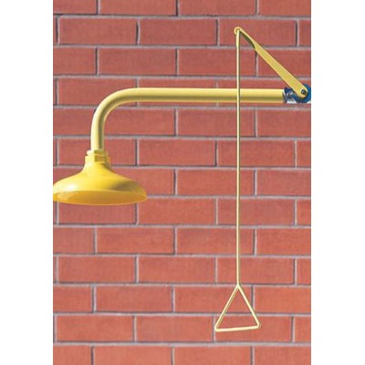 Ducha emergencia CA-1110. Pared con rociador plástico ABS