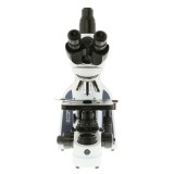 Microscopi planoacromàtic iScope IS-1153-Pli. Triocular