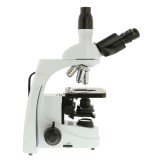 Microscopi planoacromàtic iScope IS-1153-Pli. Triocular 40x-1000x